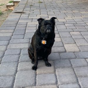 Meet your Posher, Jesse